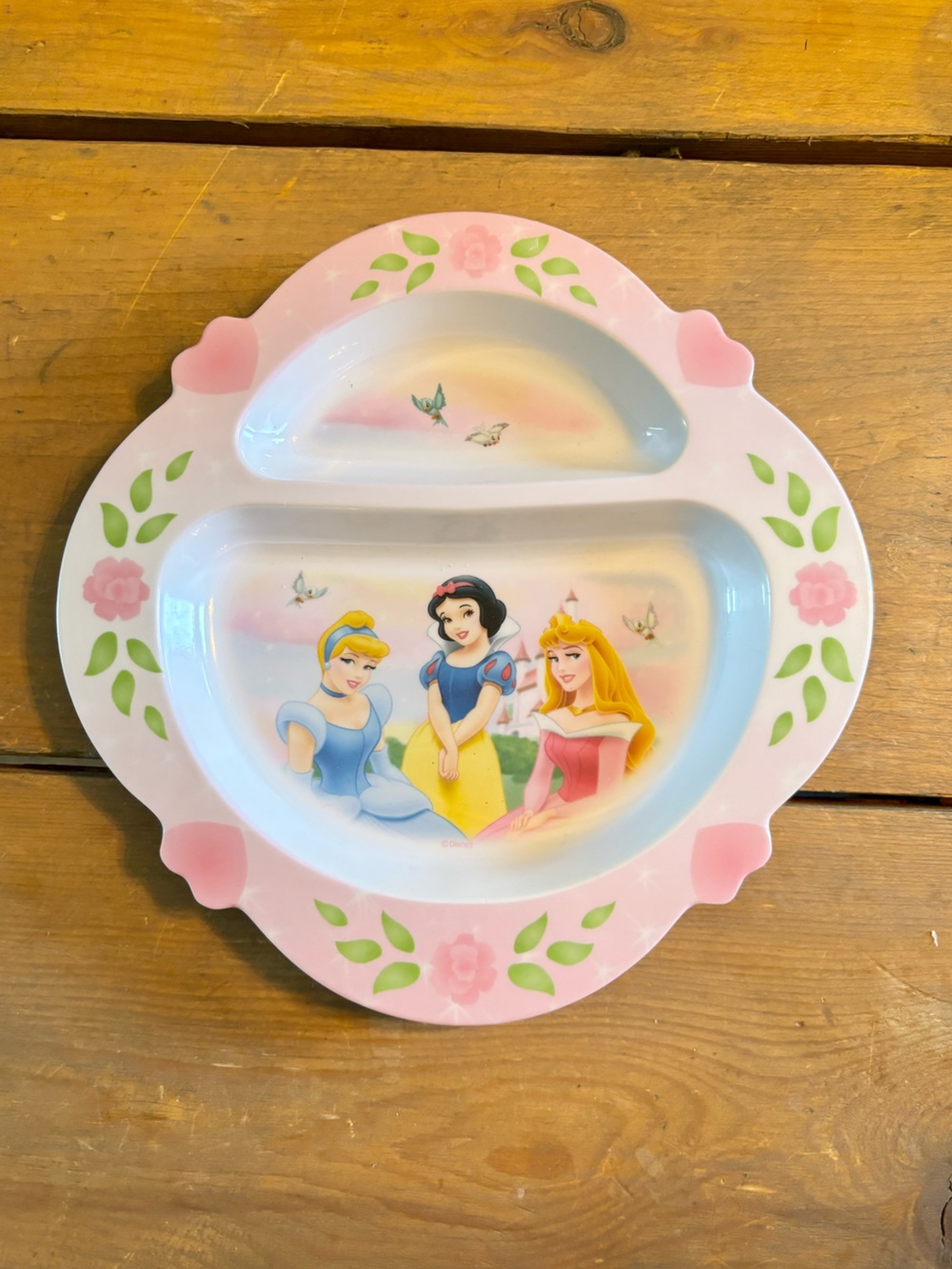 Vintage Disney Princess Melamine Plate